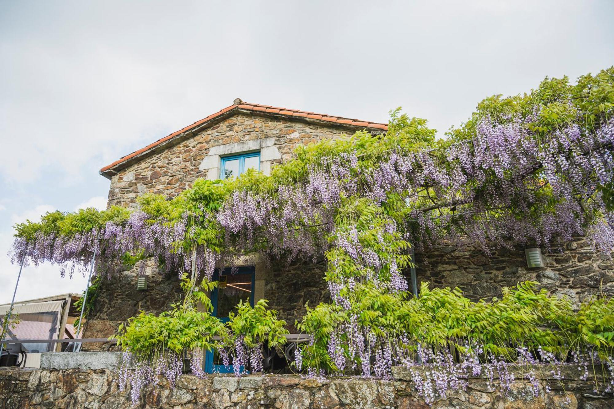 Casa De Amancio Hotel Lavacolla Kültér fotó